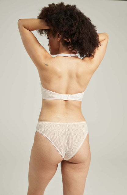 The Sheer Deco High Leg Brief Blush Pink Plus Sizes Briefs and Thongs