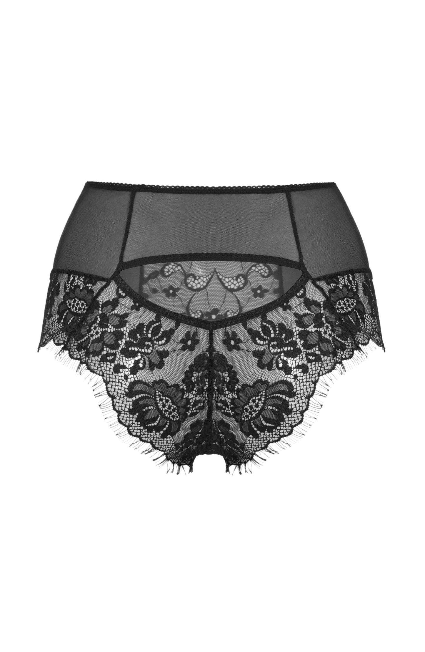 Forever Young HW Brief Everyday Briefs and Thongs
