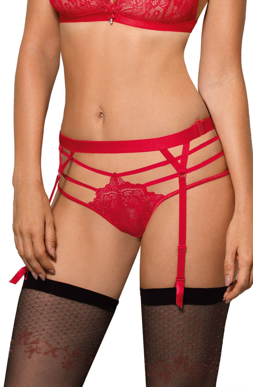 Cyria Red Brief Everyday Briefs and Thongs