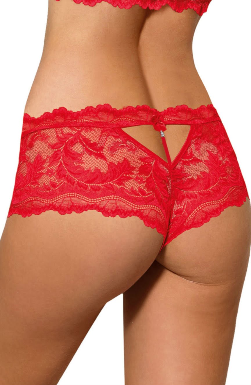 Sefia Brief Red Everyday Briefs and Thongs